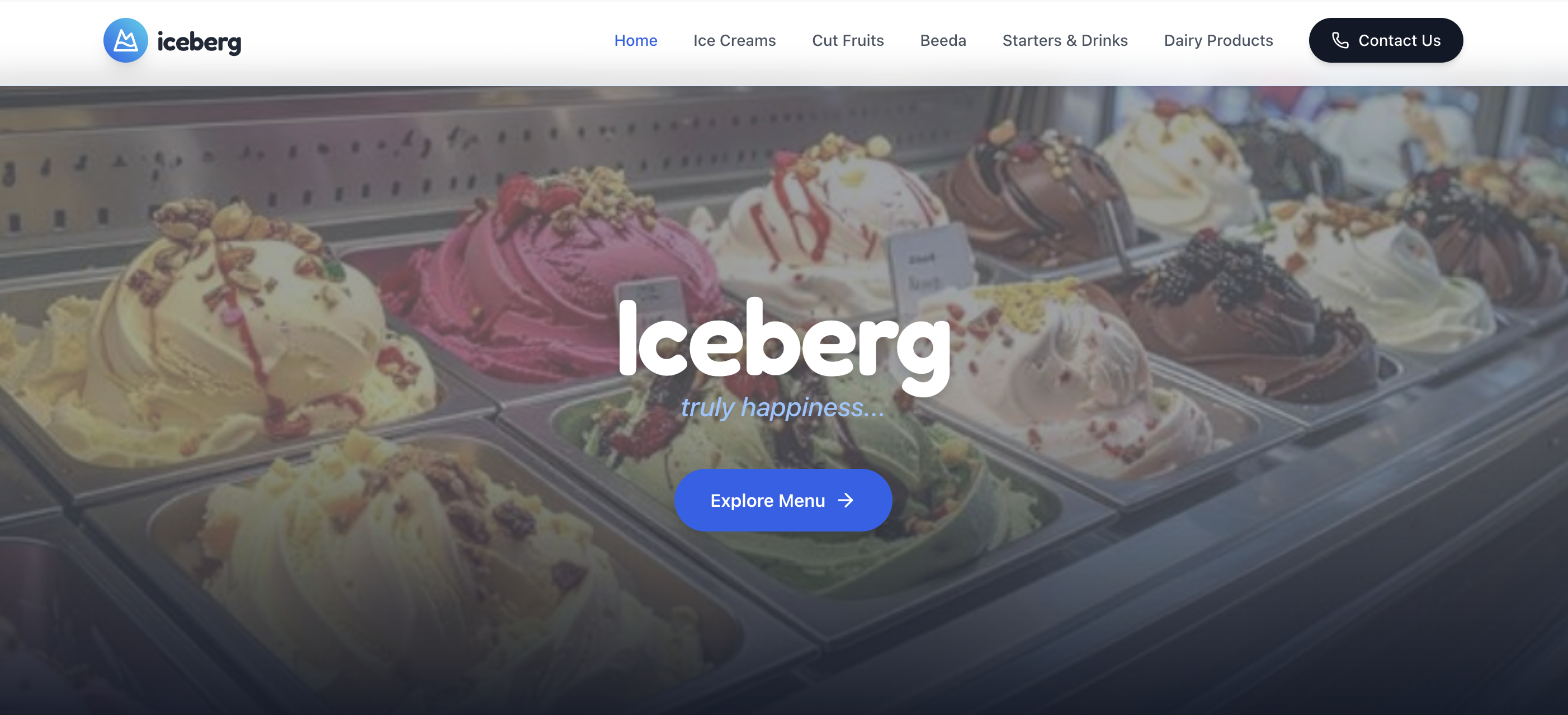 ice Berg Website